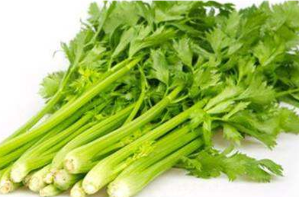 北京济和堂：常吃芹菜可预防血管硬化