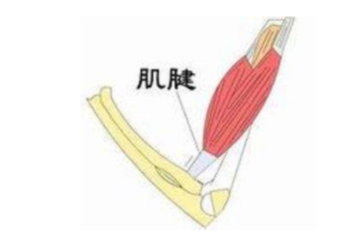 北京济和堂：肌腱损伤怎么按摩可以缓解？